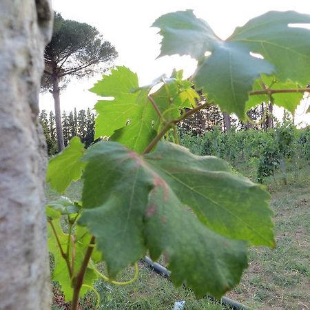 Agriturismo Occhineri Porto Cesareo Bagian luar foto