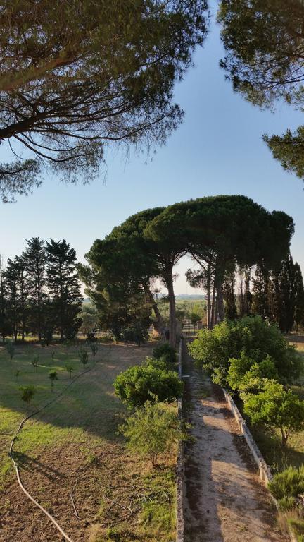 Agriturismo Occhineri Porto Cesareo Bagian luar foto