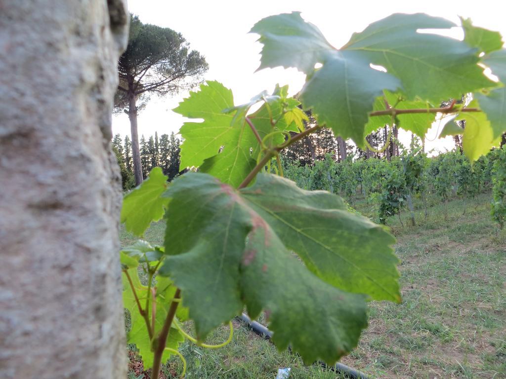 Agriturismo Occhineri Porto Cesareo Bagian luar foto